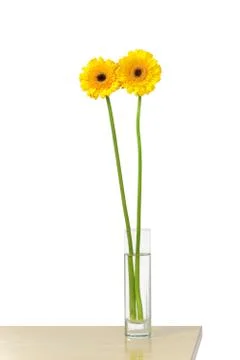 Flowers Stock Photos