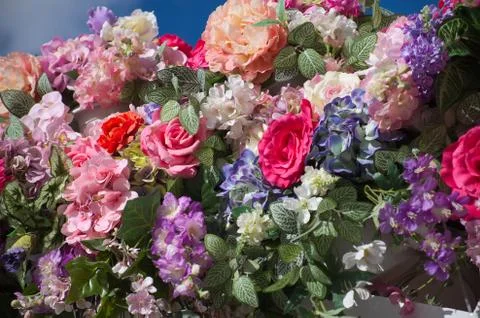 Flowers Stock Photos