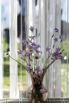 Flowers Stock Photos