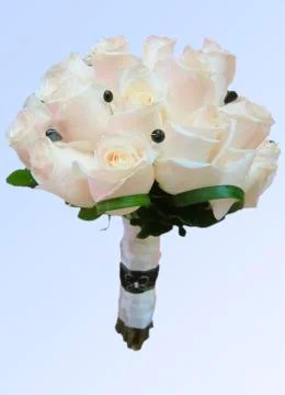 Flowers Stock Photos