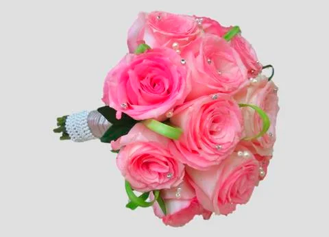 Flowers Stock Photos