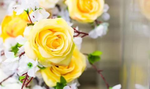 Flowers Stock Photos