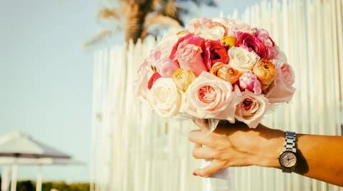 Flowers Stock Photos