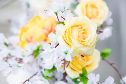 Flowers Stock Photos