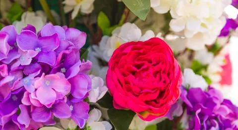 Flowers Stock Photos