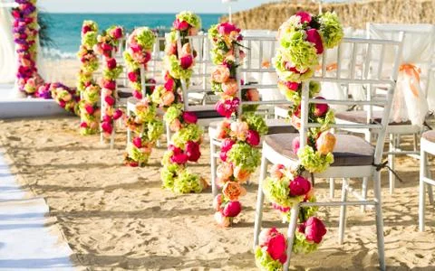 Flowers Stock Photos