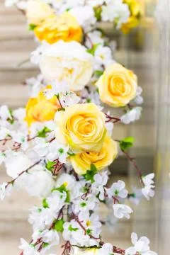 Flowers Stock Photos