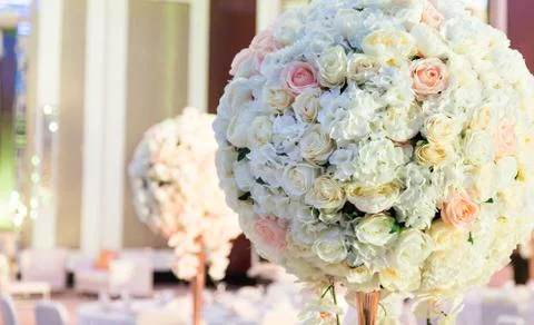 Flowers Stock Photos