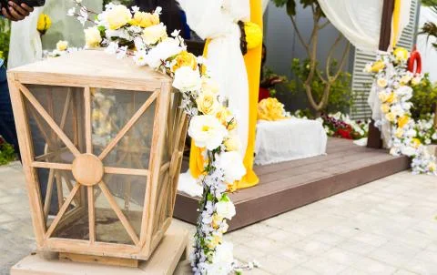 Flowers Stock Photos