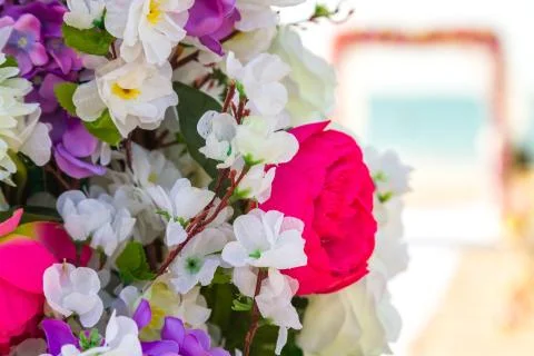 Flowers Stock Photos