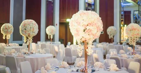 Flowers Stock Photos