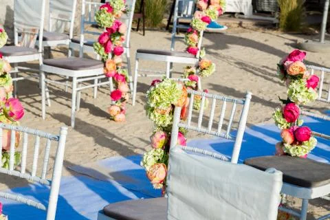 Flowers Stock Photos