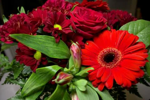 Flowers Stock Photos