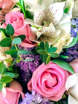 Flowers Stock Photos