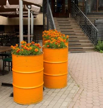 Flowers Stock Photos