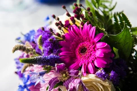 Flowers Stock Photos