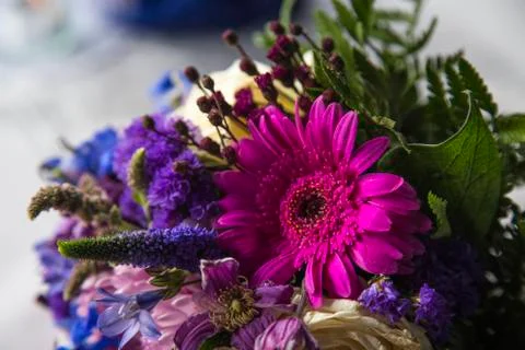 Flowers Stock Photos