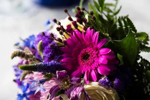 Flowers Stock Photos