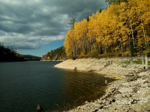 FLOWERS Stock Photos