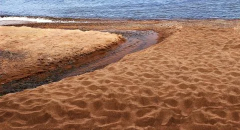 FLOWERS Stock Photos