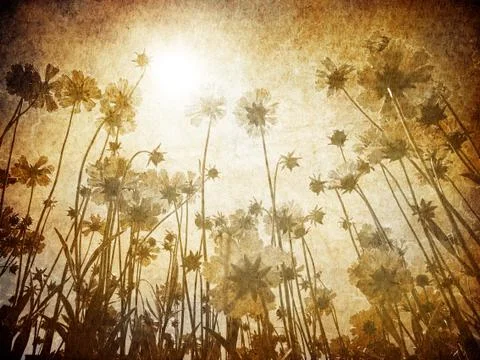 Flowers. Stock Photos
