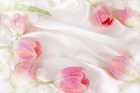 Flowers Stock Photos