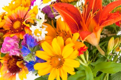 Flowers Stock Photos