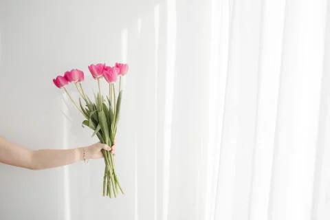 Flowers Stock Photos