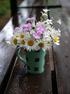 Flowers Stock Photos