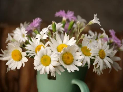 Flowers Stock Photos