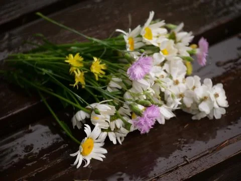 Flowers Stock Photos