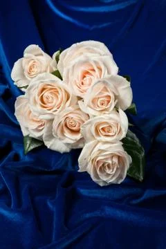 Flowers Stock Photos