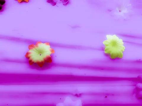 Flowers Stock Photos