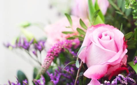 Flowers Stock Photos