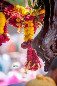 Flowers Fotos de archivo