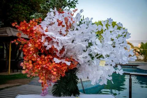 The Flowers Stock Photos