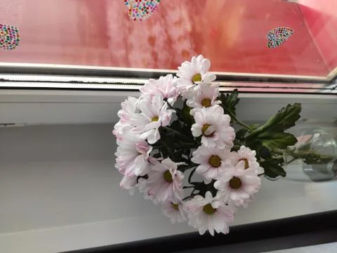 The flowers Foto stock