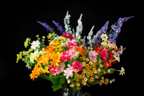 Flowers Stock Photos