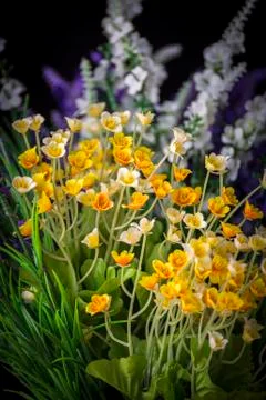 Flowers Stock Photos