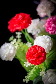 Flowers Stock Photos