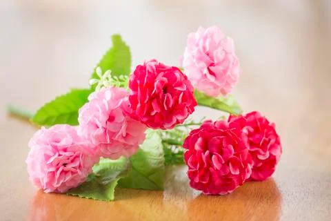 Flowers Stock Photos