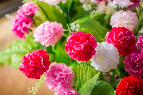 Flowers Stock Photos