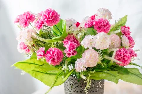 Flowers Stock Photos