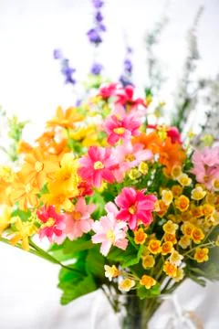 Flowers Stock Photos