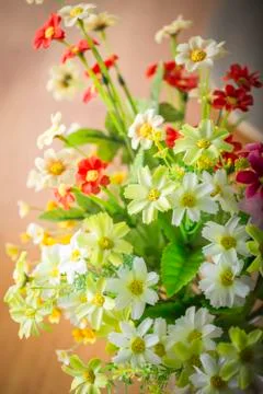 Flowers Stock Photos