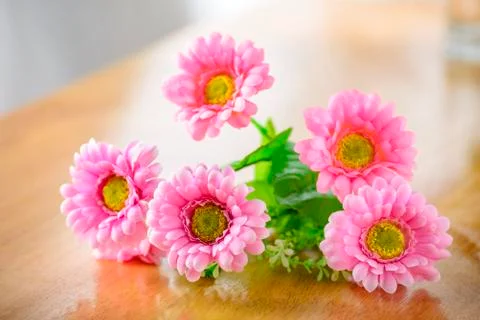 Flowers Stock Photos