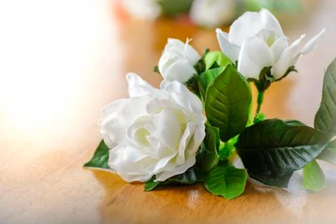 Flowers Stock Photos