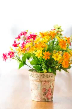 Flowers Stock Photos