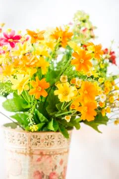 Flowers Stock Photos