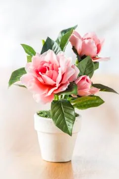 Flowers Stock Photos